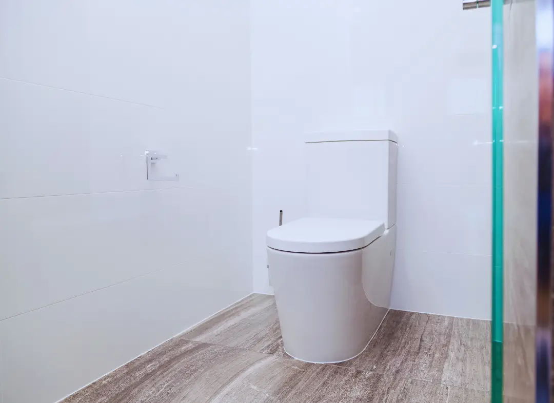 Remplacement de wc Cadaujac